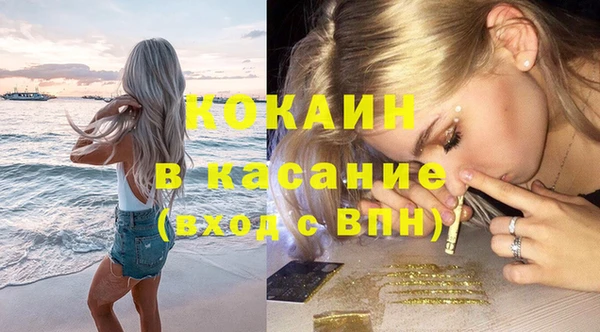 сатива Алзамай