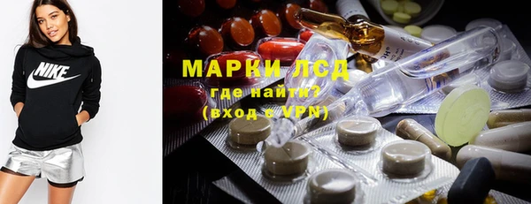сатива Алзамай
