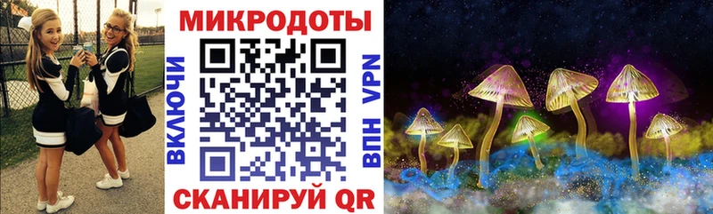 Галлюциногенные грибы мухоморы  Строитель 